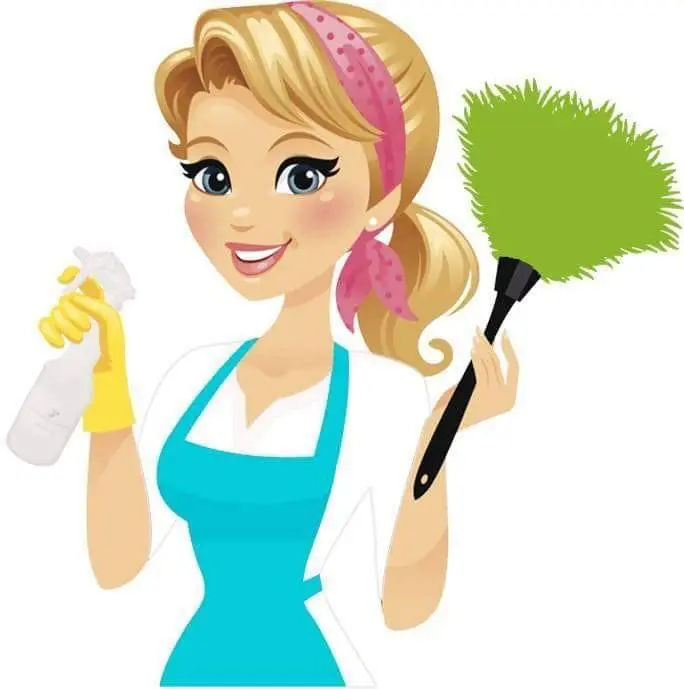 Ana Luiza Clean logo